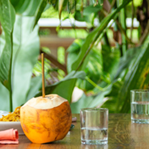 southbeach food and dining