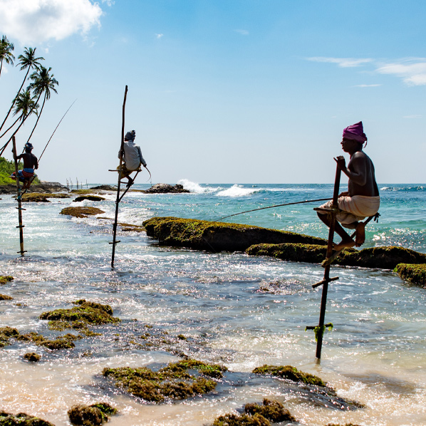 Sri lanka food and drink
